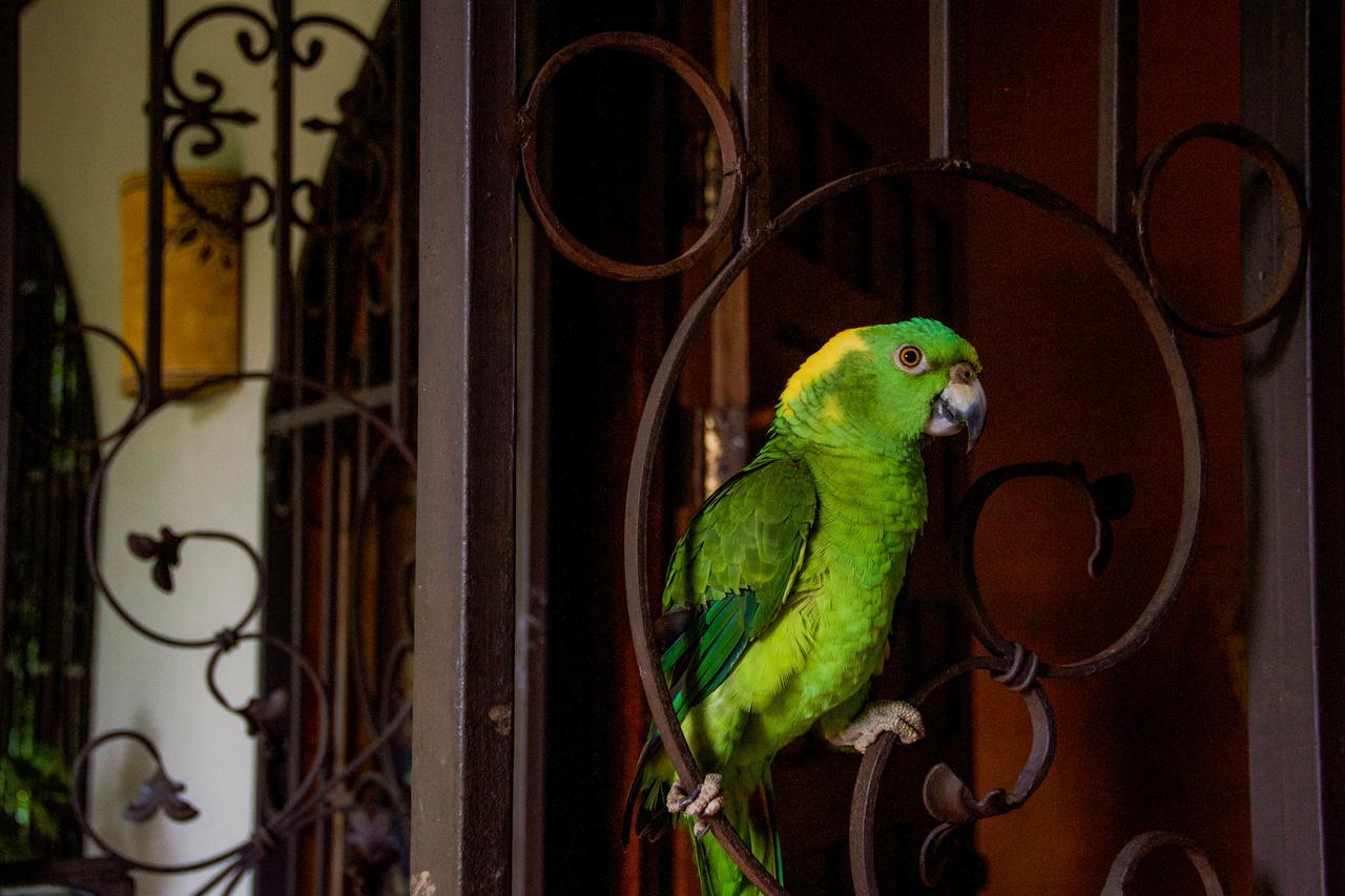 Quinta Mi Tata B&B Sardinal Kültér fotó